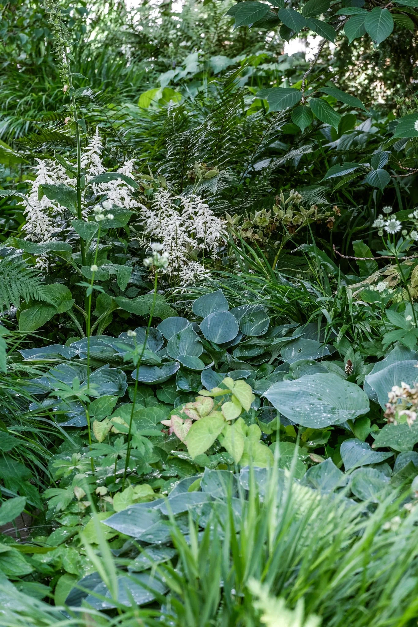 DSCF3896-3.webp