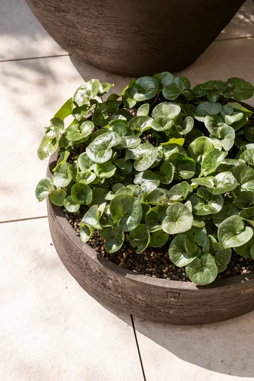 Erfolg neu definieren