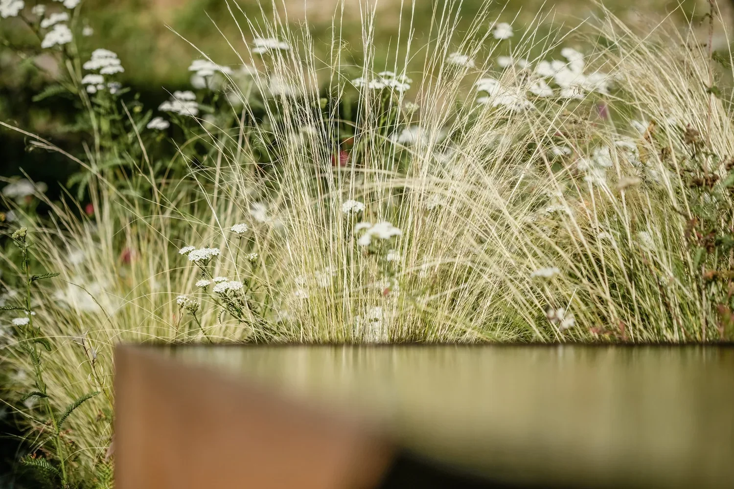 Brunnen und Blüten