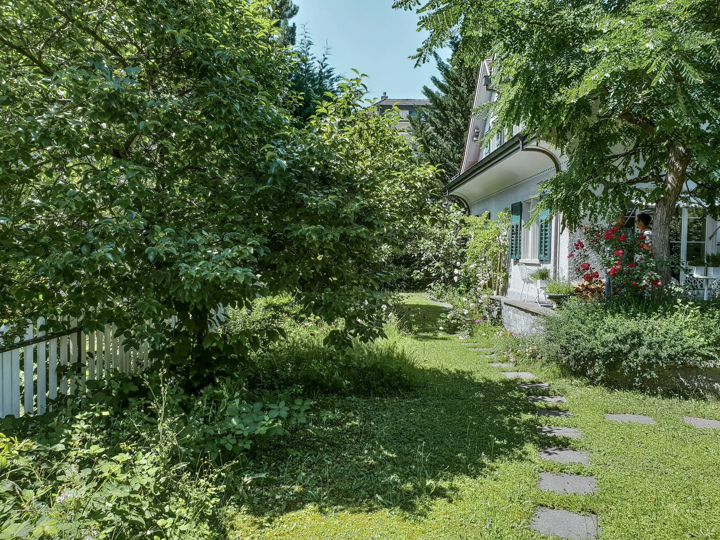 VORHER3.webp