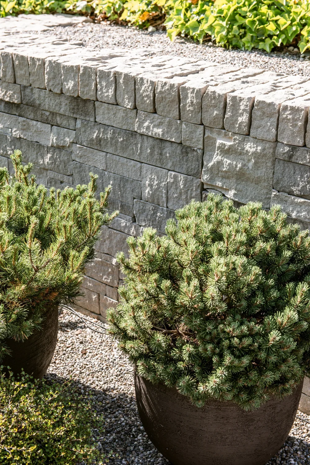 IMG4.webp