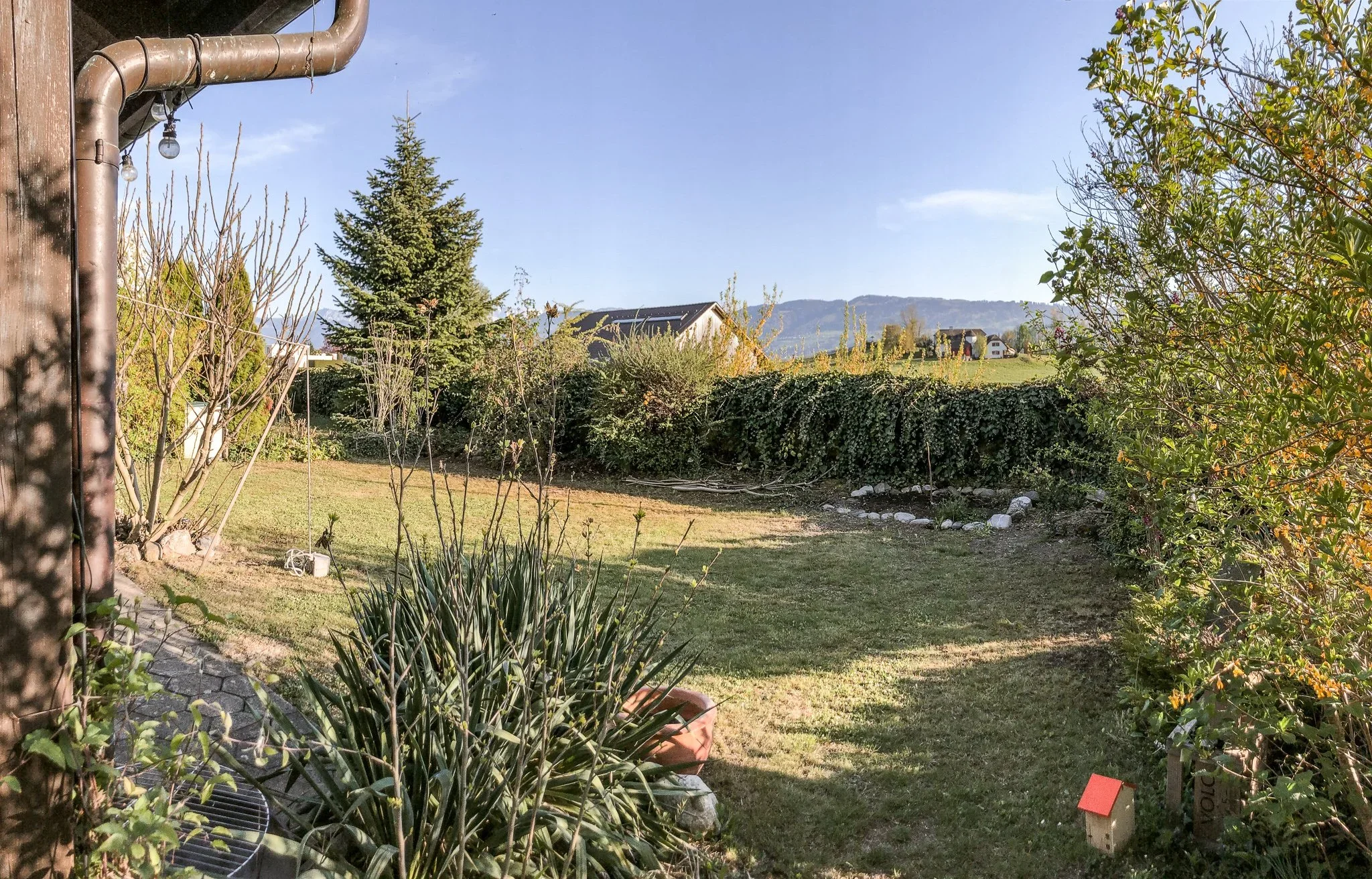 VORHER2.webp