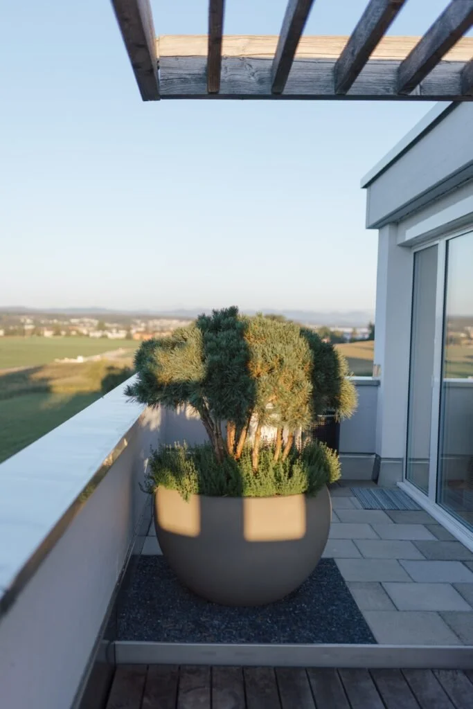 Terrasse