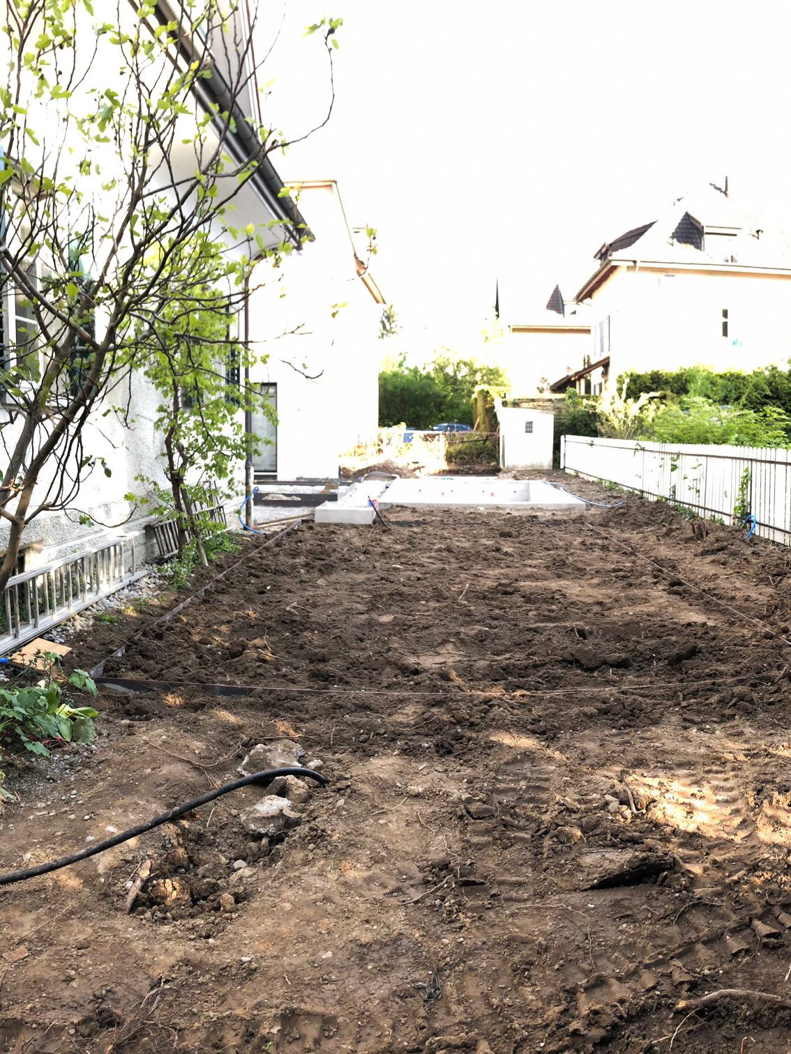 20190513_171227000_iOS.jpg