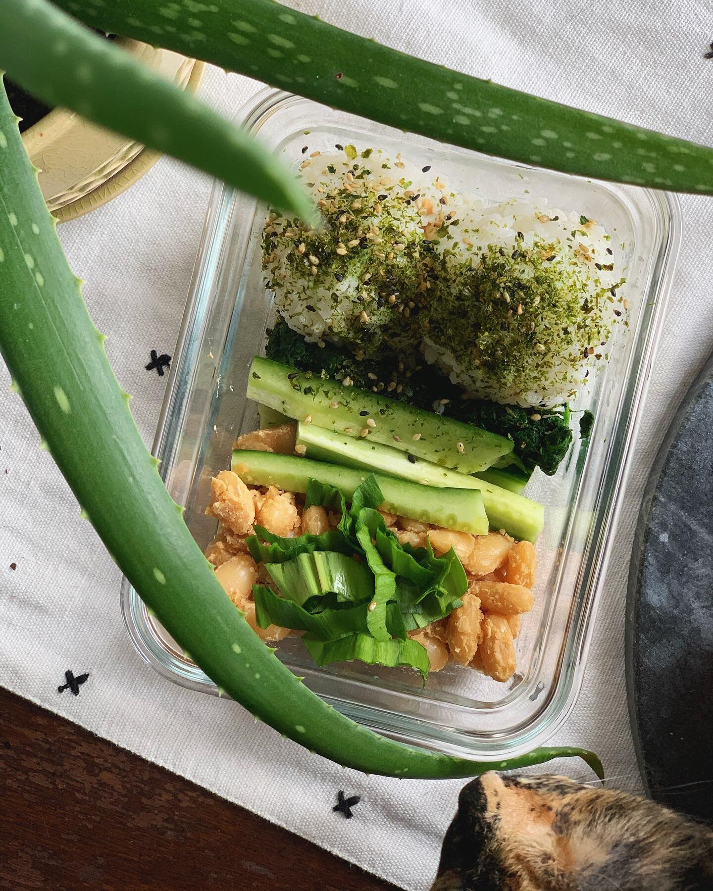 lunch prep for the week: ⁣
⁣
-- clumsy onigiri attempt -- ⁣
⁣
I think onigiri have a lot of potential for a running food - easy to chew and digest, high in carbohydrates, SALTY 🍙🍙🍙⁣
⁣
Stuffed these with a soy curl chicken salad, with sweet stewed 