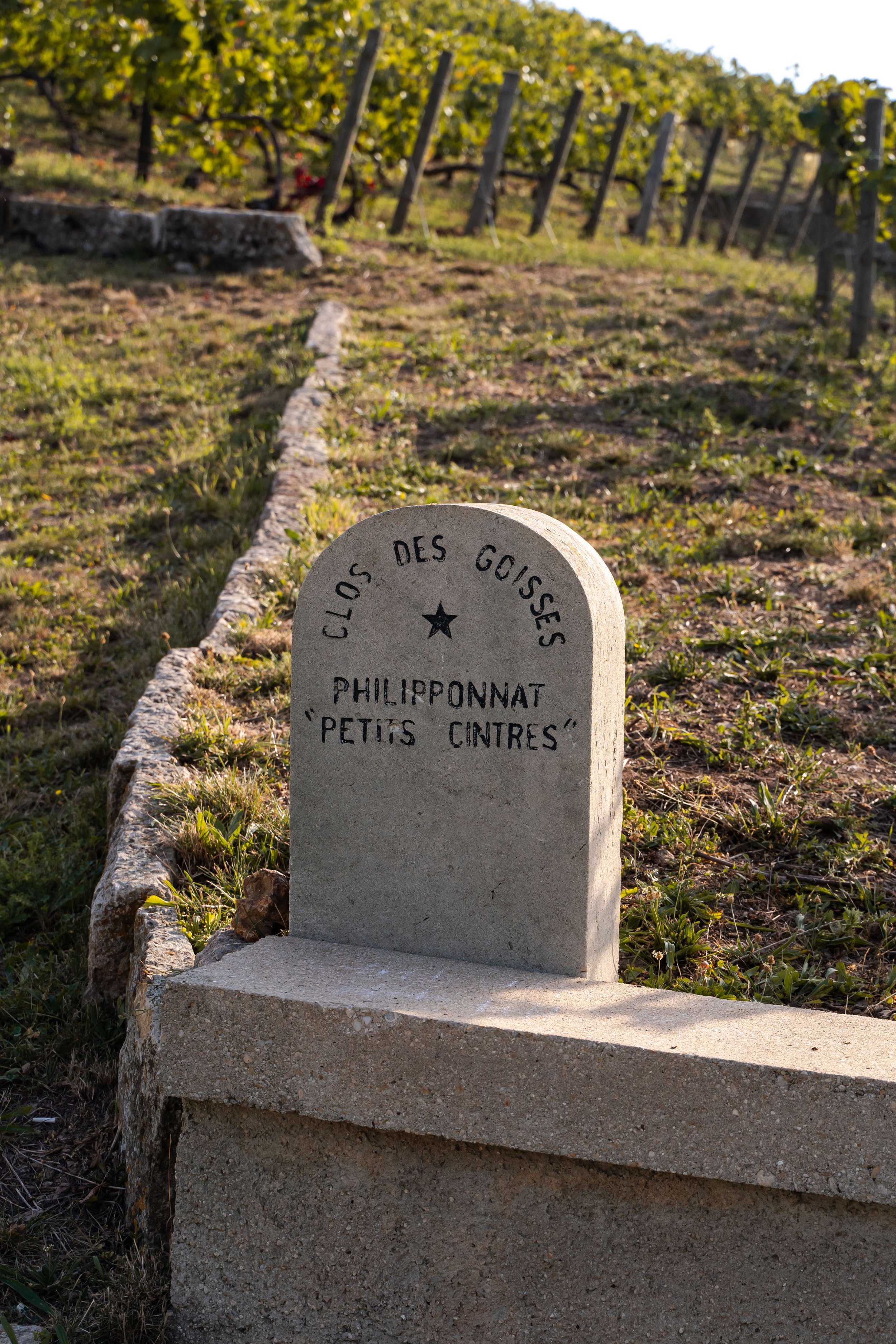 philipponnat-CL-01665.jpg