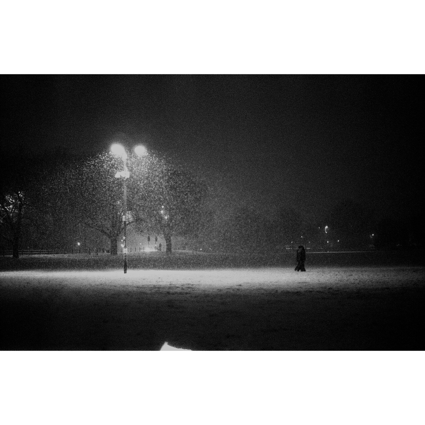 Jesus Green In Snow - Contax RTS ii, Zeiss 85mm f1.4 @ f1.4, @ilfordphoto Delta 3200 @ 6400 - Taken about 1AM - Developed at @campkinscameras - post in @affinitybyserif