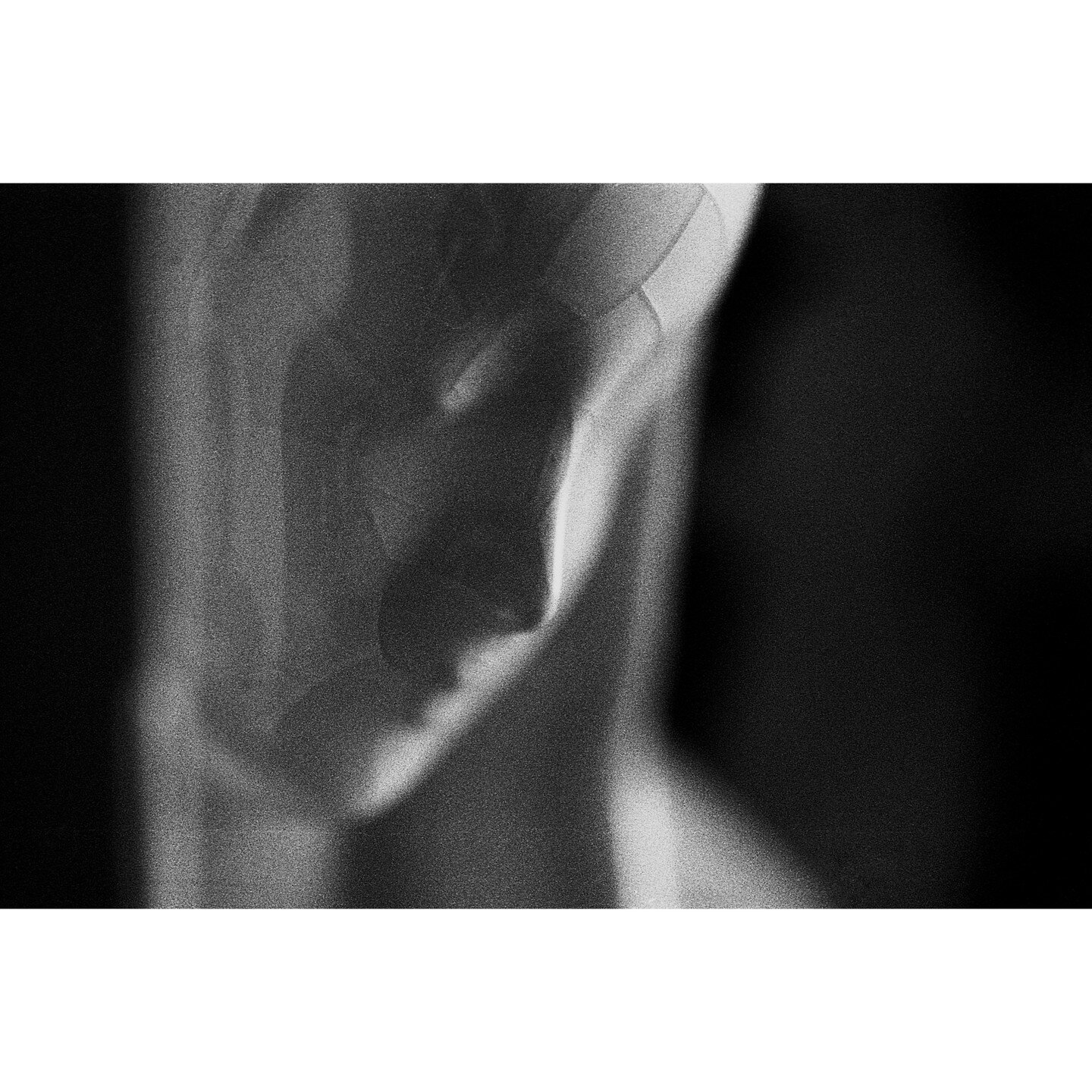 Immaculate - Contax RTS ii and @zeisscameralenses 100mm f2.8 Mackro, shot on @ilfordphoto Delta 3200 pushed one stop to 6400 #contax #filmphotography #shootfilm #zeiss #vintagelenses Developed at @campkinscameras - post in @affinitybyserif