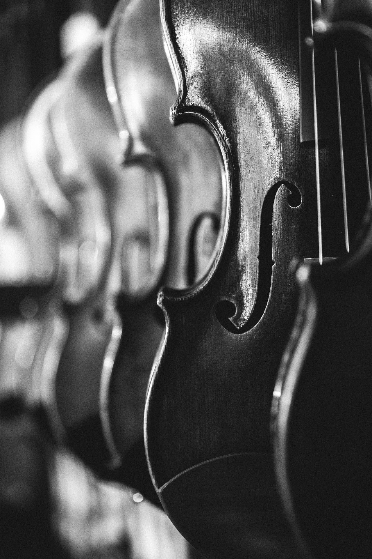Violins.jpg