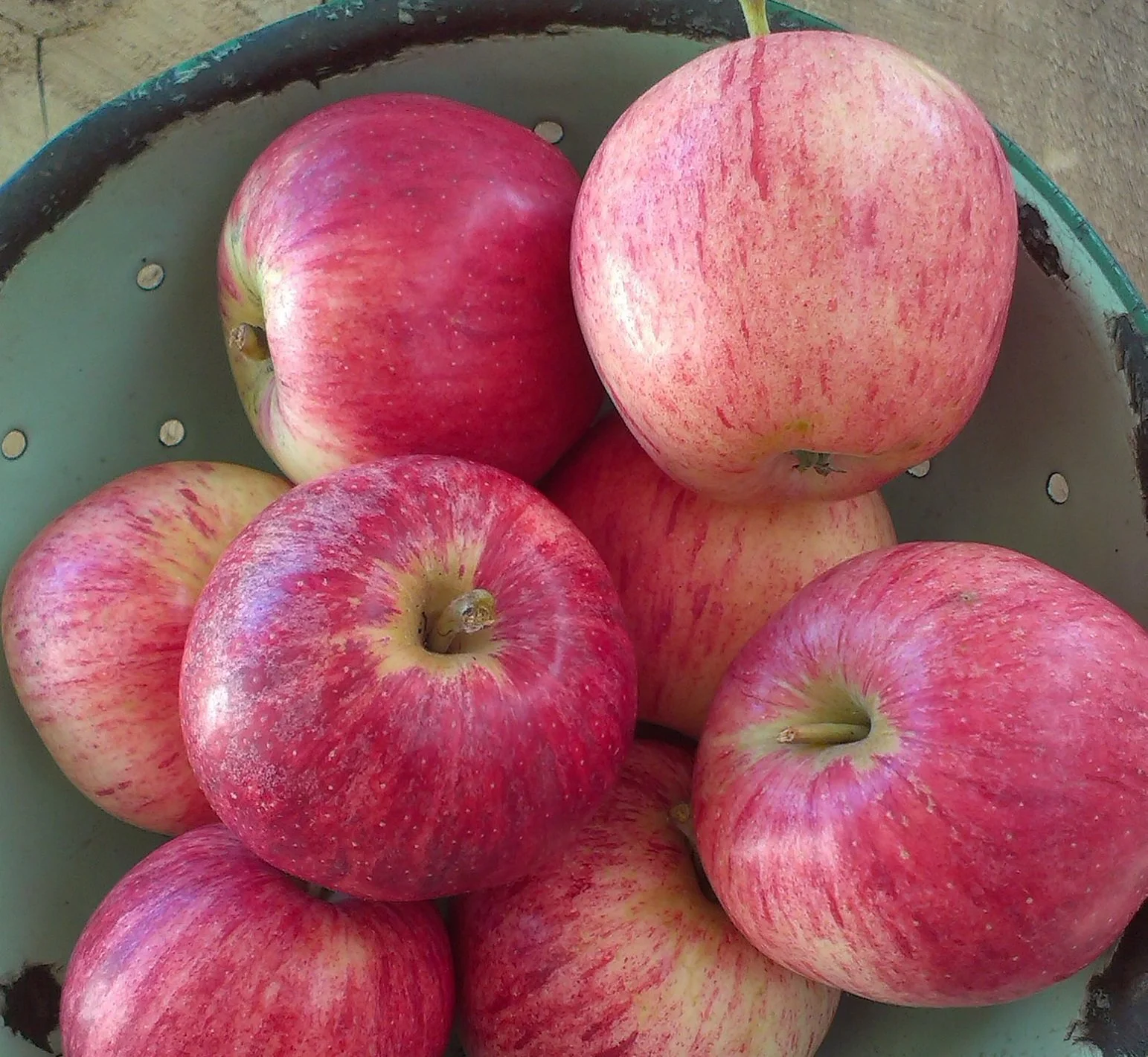 Galas  Feb 2018 006 cropped.jpg