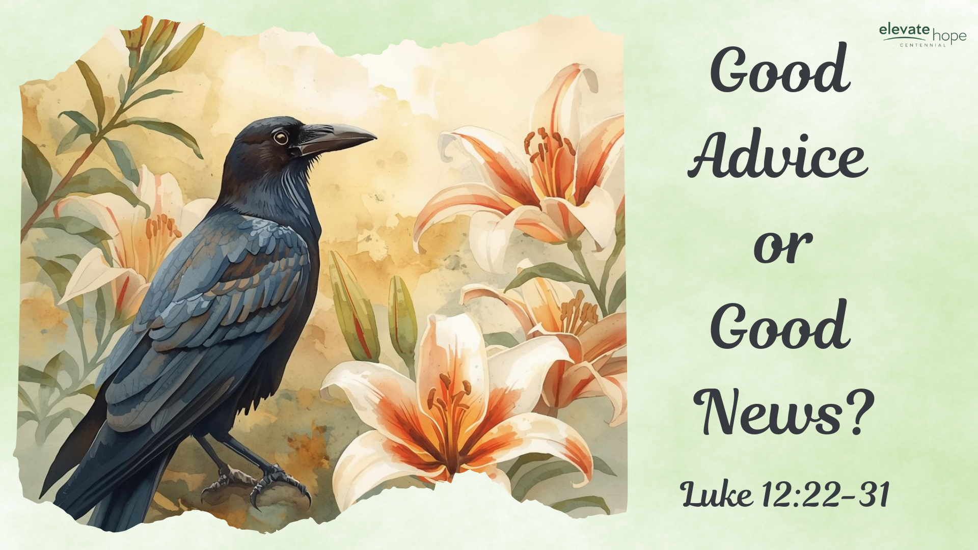 Good Advice or Good News? - Luke 12:22-31