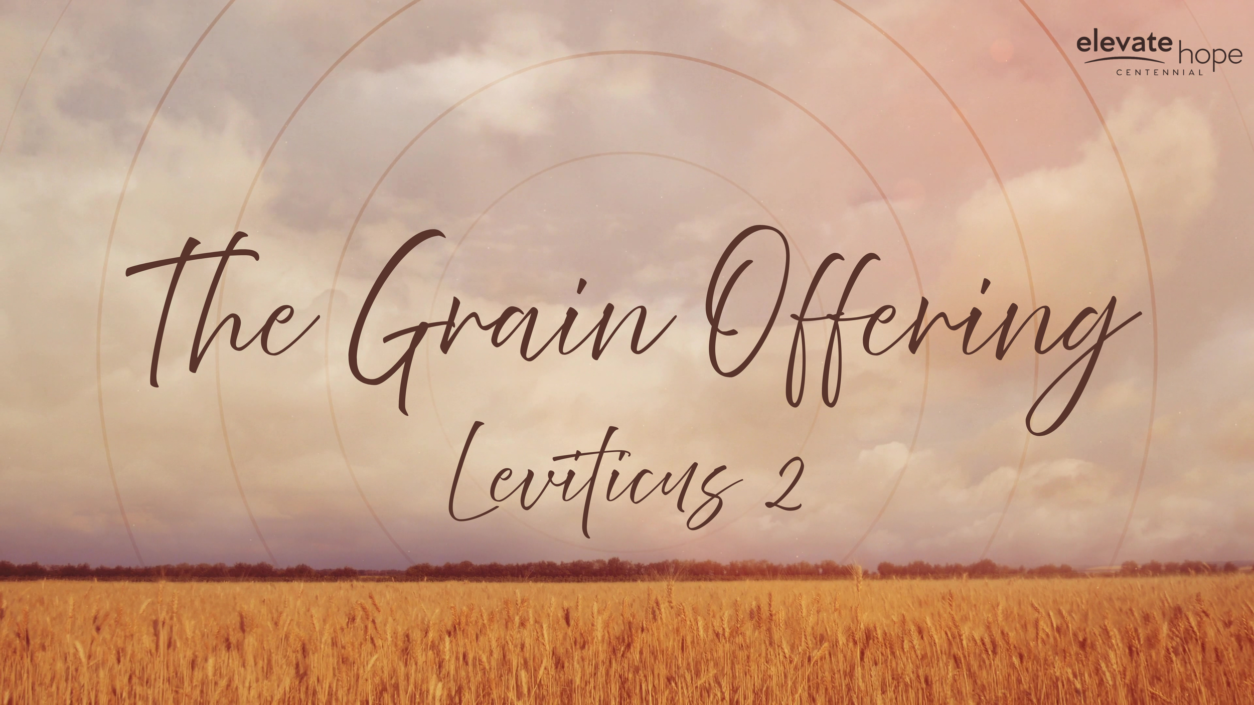 The Grain Offering - Leviticus 2
