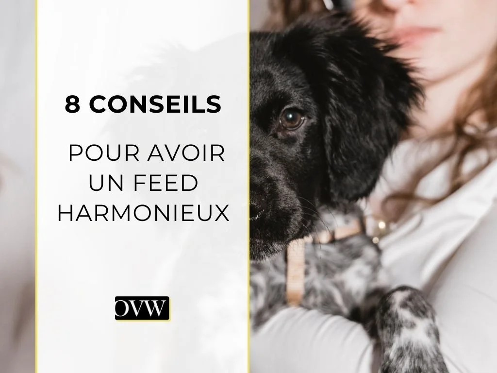 8 conseils pour avoir un feed Instagram harmonieux