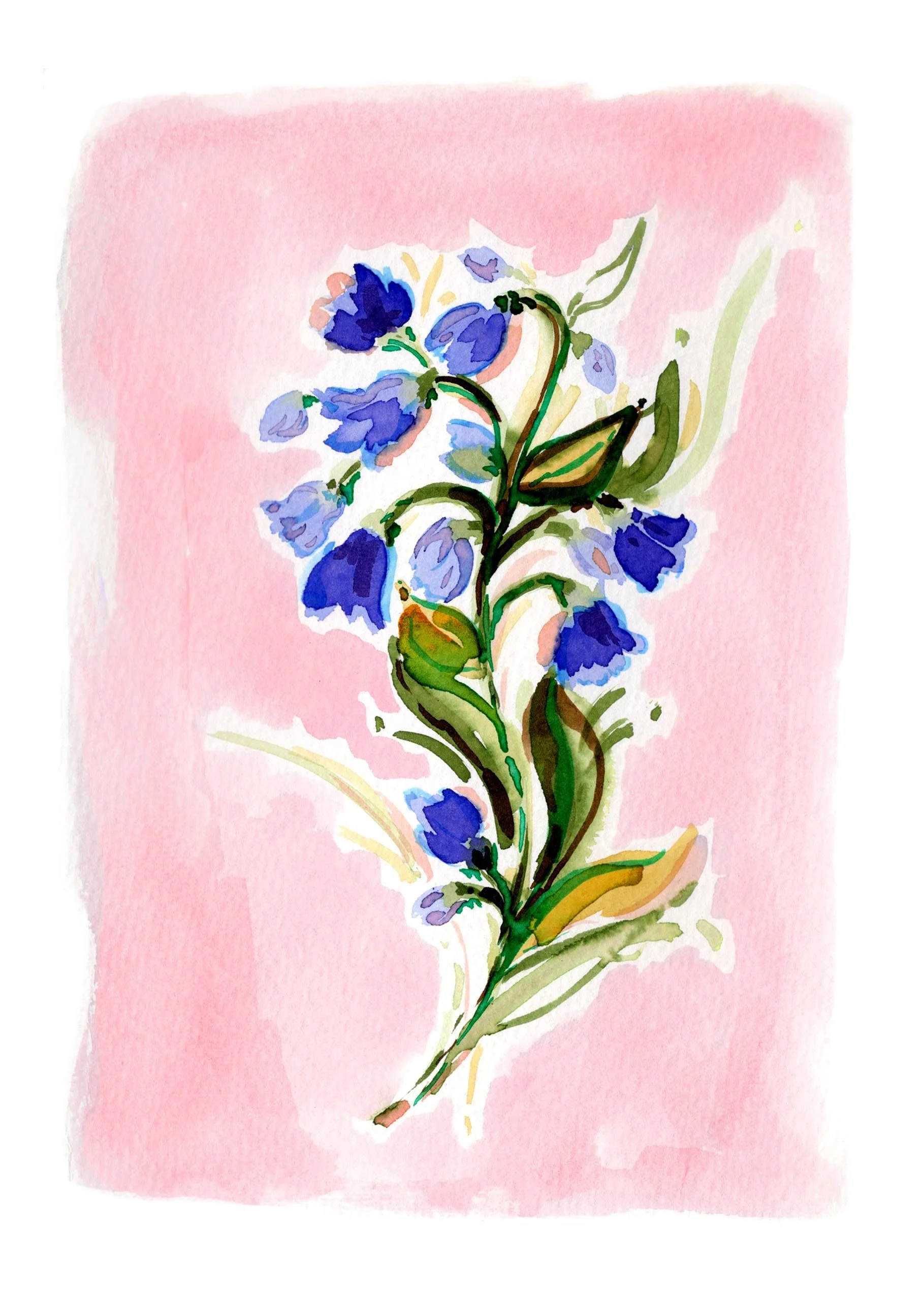 bluebell print a5.jpg