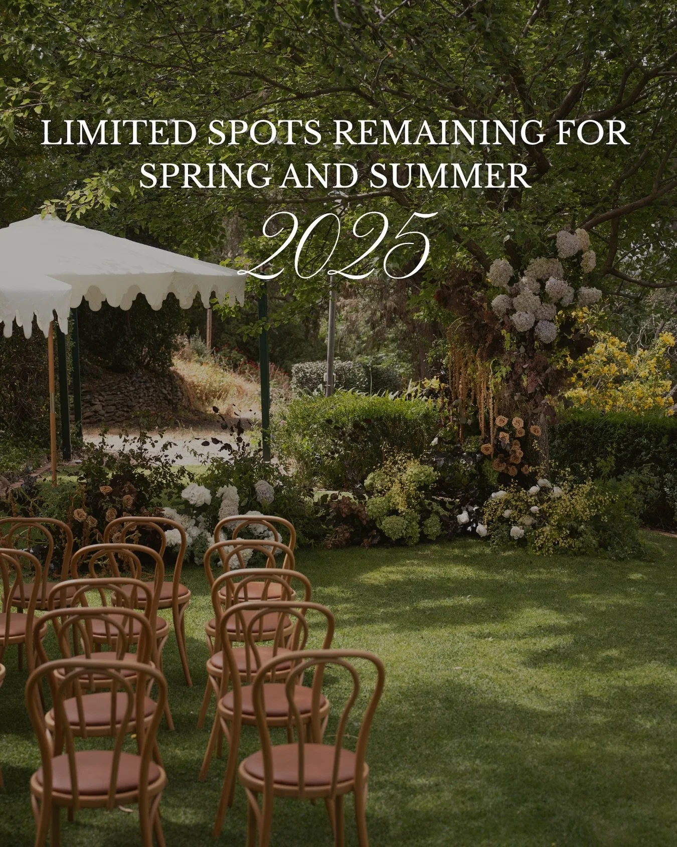 Spring & Summer at Marybank; the seasons of colour, golden light, and intimate “I do’s” surrounded by our beautiful gardens.
We’ve got ONE last-minute elopement spot open up for late 2025’ perfect if you don’t