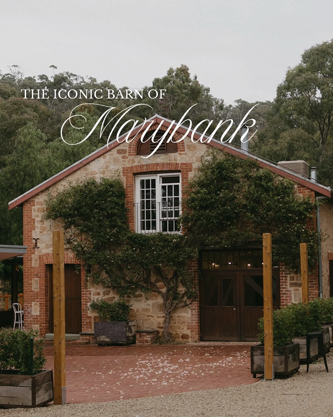 The barn at Marybank.

Tucked into the foothills, wrapped in vines and history, this is the heart of this place.

Full of charm, and quietly iconic&hellip; it&rsquo;s one of those spaces that doesn&rsquo;t need to try too hard. It just is.
