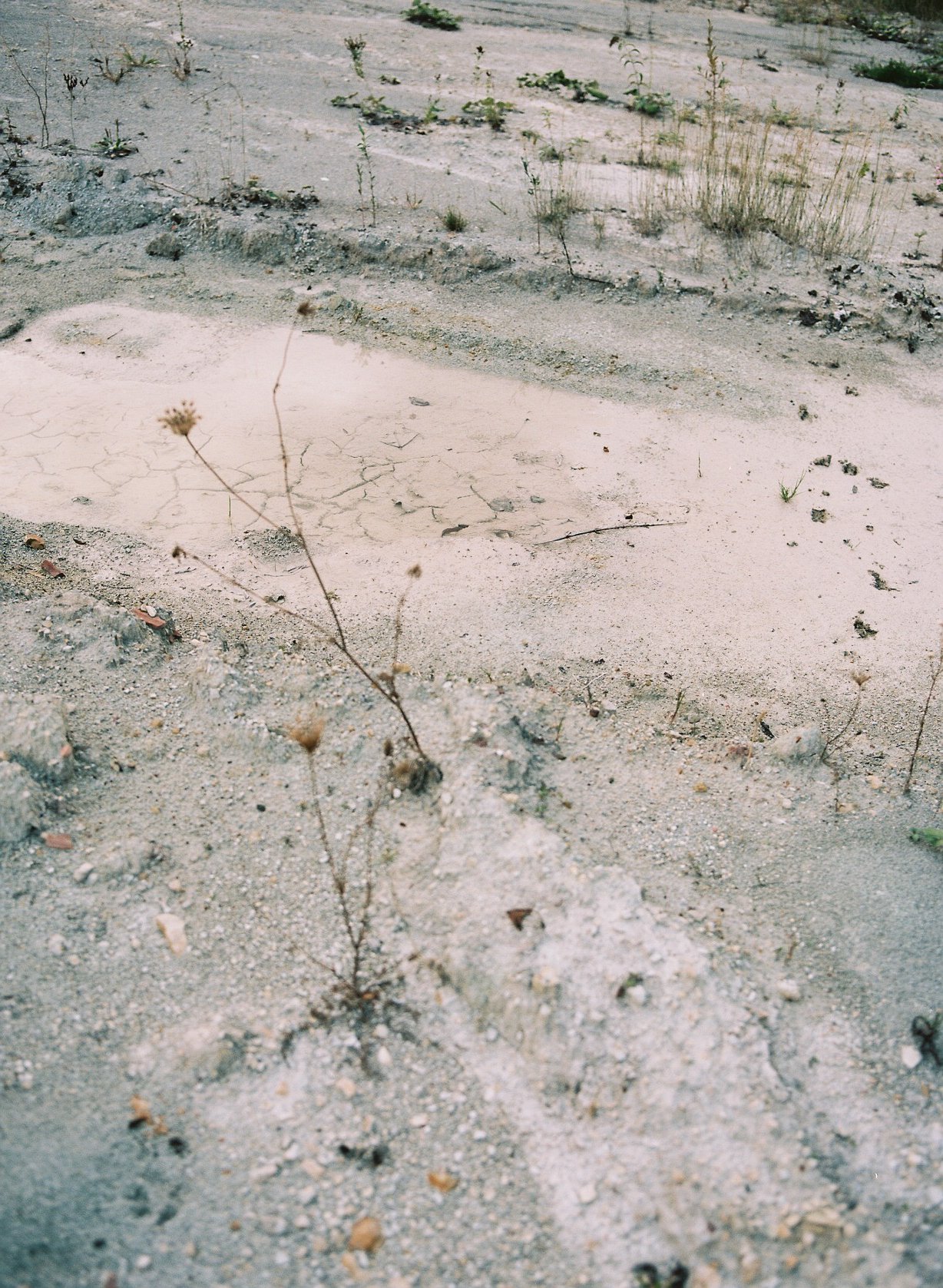 1452-48_preview_raw.jpg