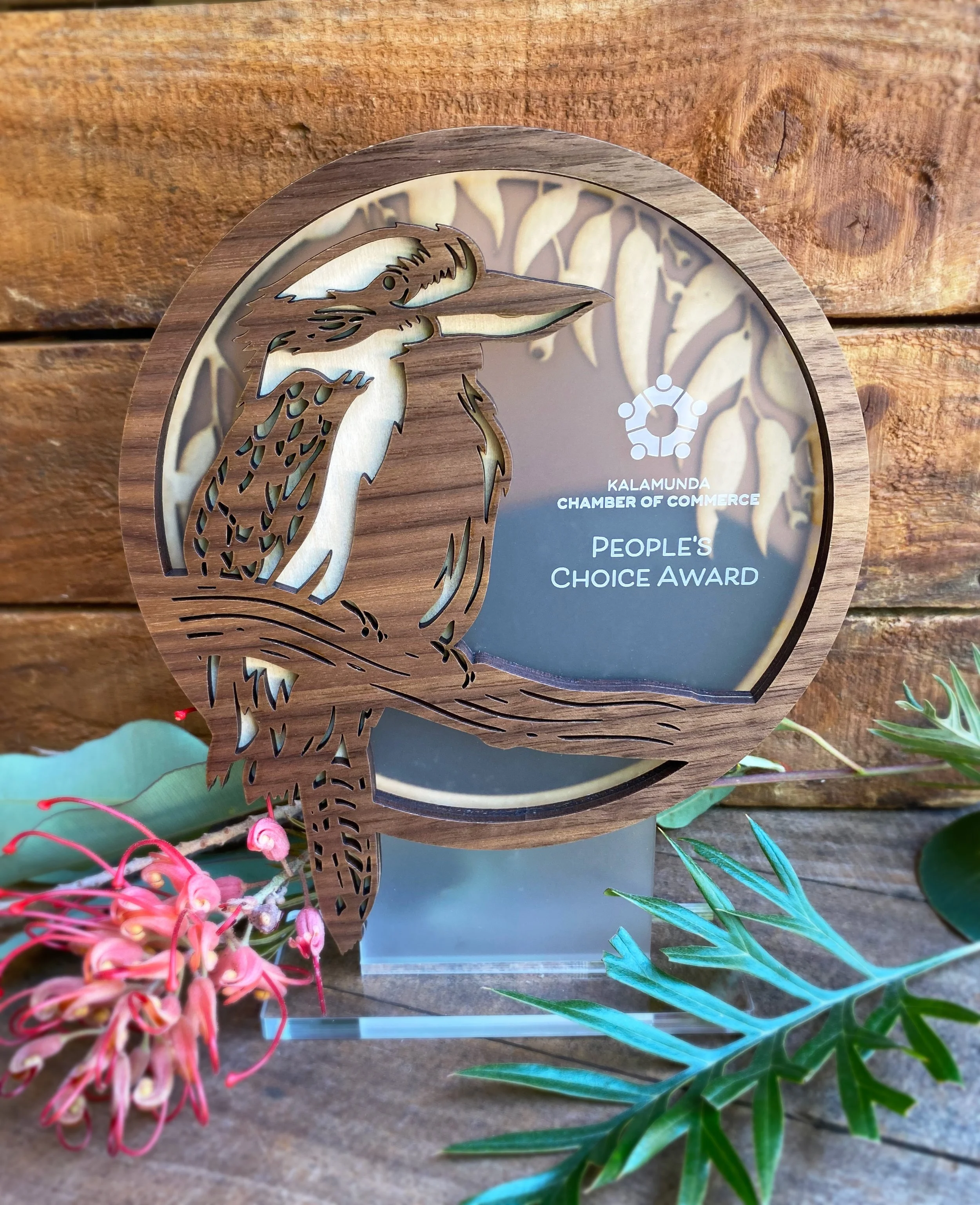 kookaburra on walnut.jpg