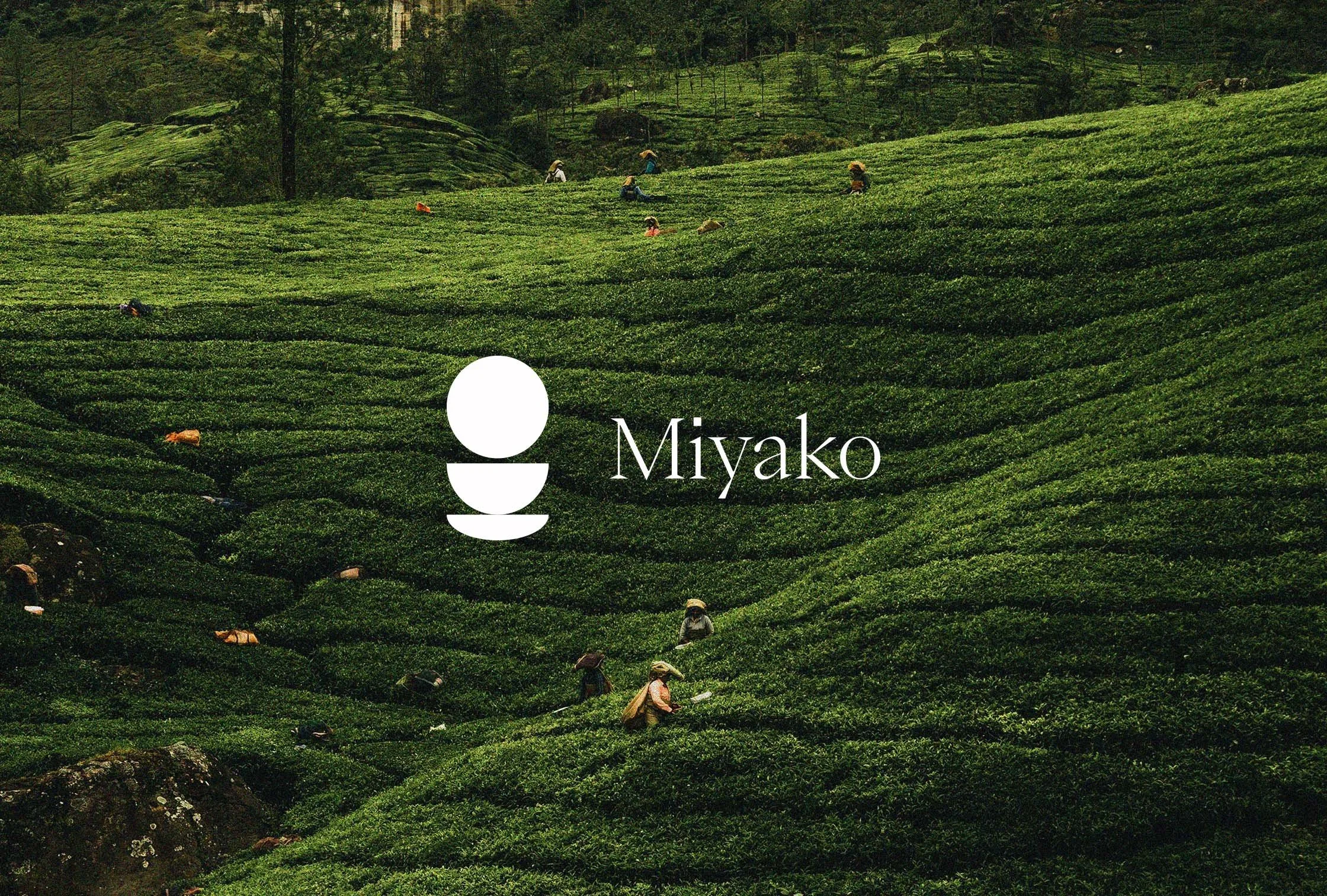 Green-Tea-Drinks-Brand-Logo-Design.jpg