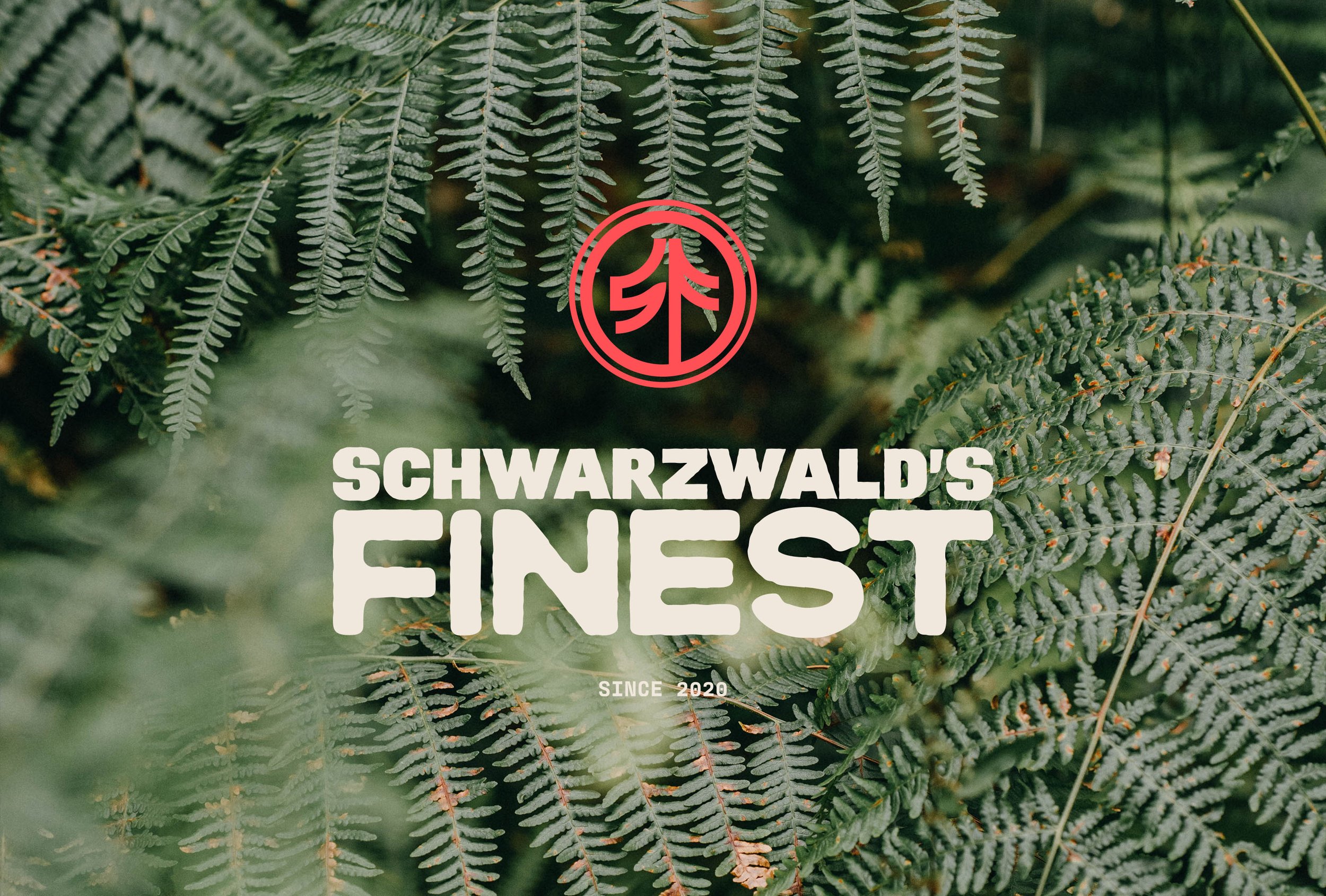 outdoors-brand-identity-design-full-logo.jpg