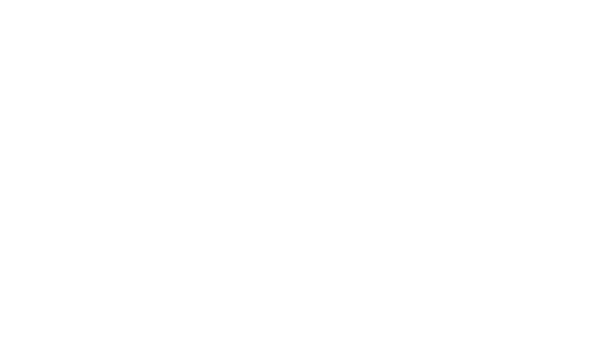 lowlander-beer-logo.png