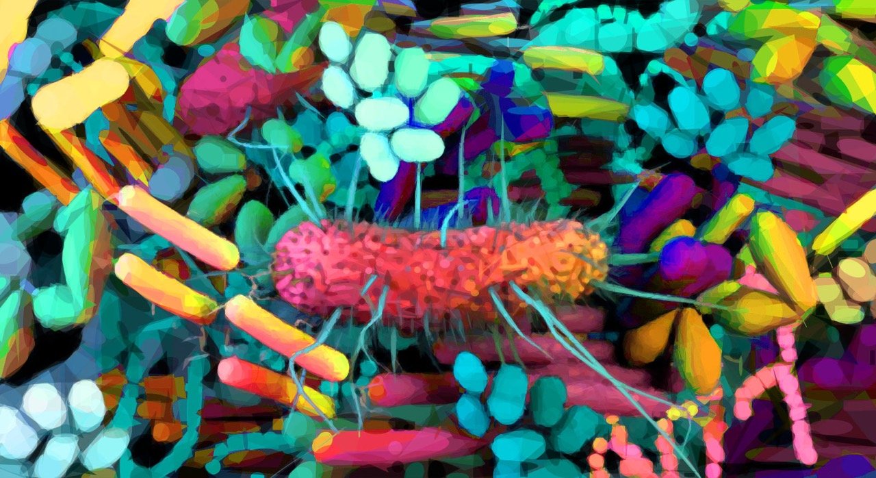 The Gut-Microbiota-Brain Connection