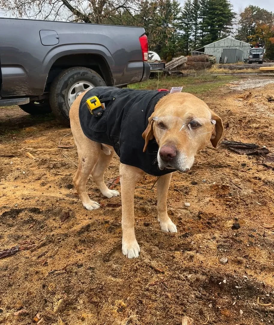 PPE on and ready for the mill!  Keep up the good work Oakley 
#ppe #sawmill #lumberyard #lumber #logyard