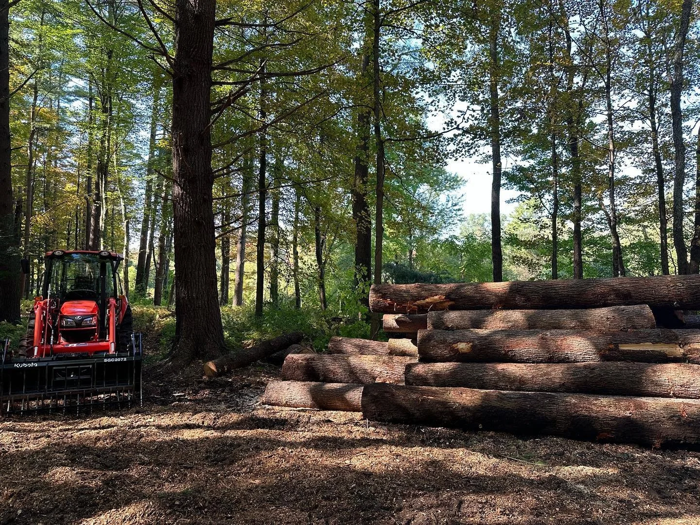 Tidy landing by @christianstovall and Marco at a small selective harvest. Next these logs will be milled and used in a timber frame on site.