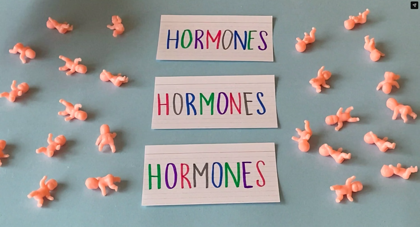 your changing body (a short documentary about my period)