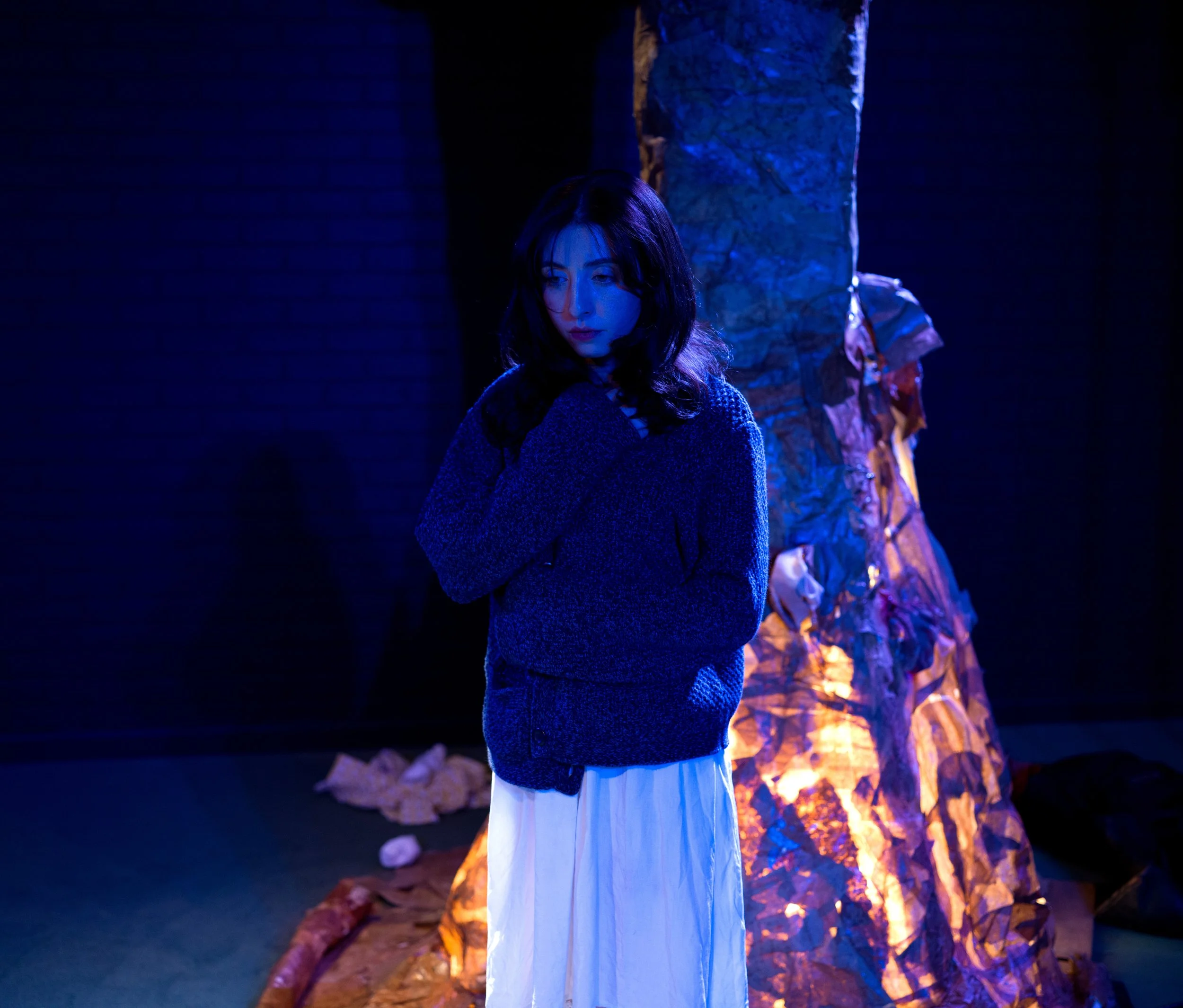 burl (a new play by amanda dacks)