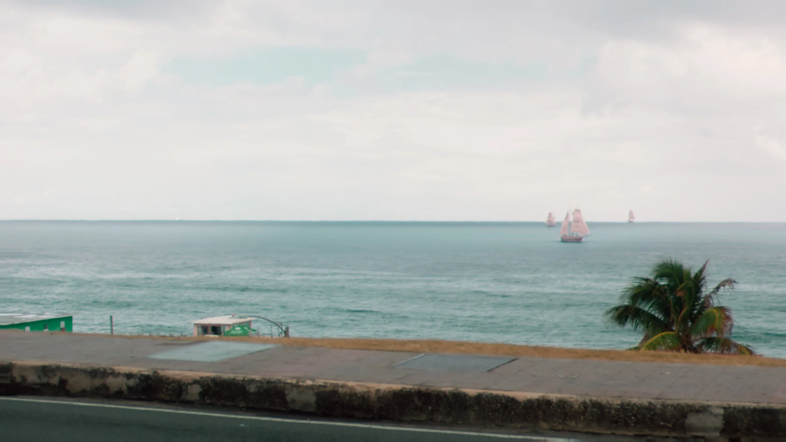 FF MARA_STILLS__2.1.1 copy.jpg