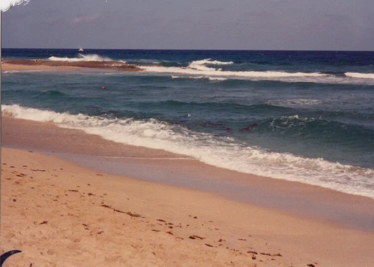 Singer Island, 1992