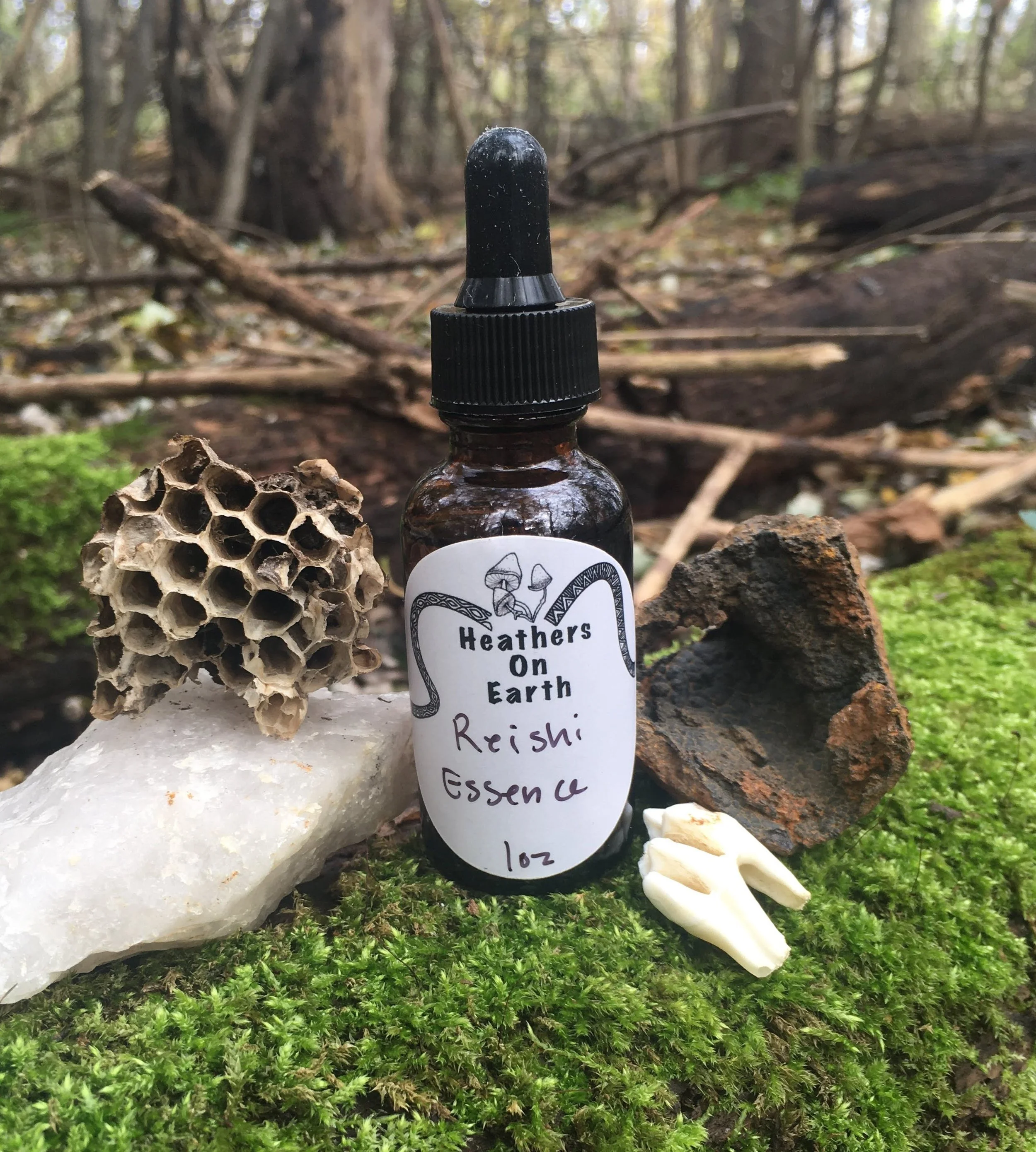 Reishi Mushroom Essence