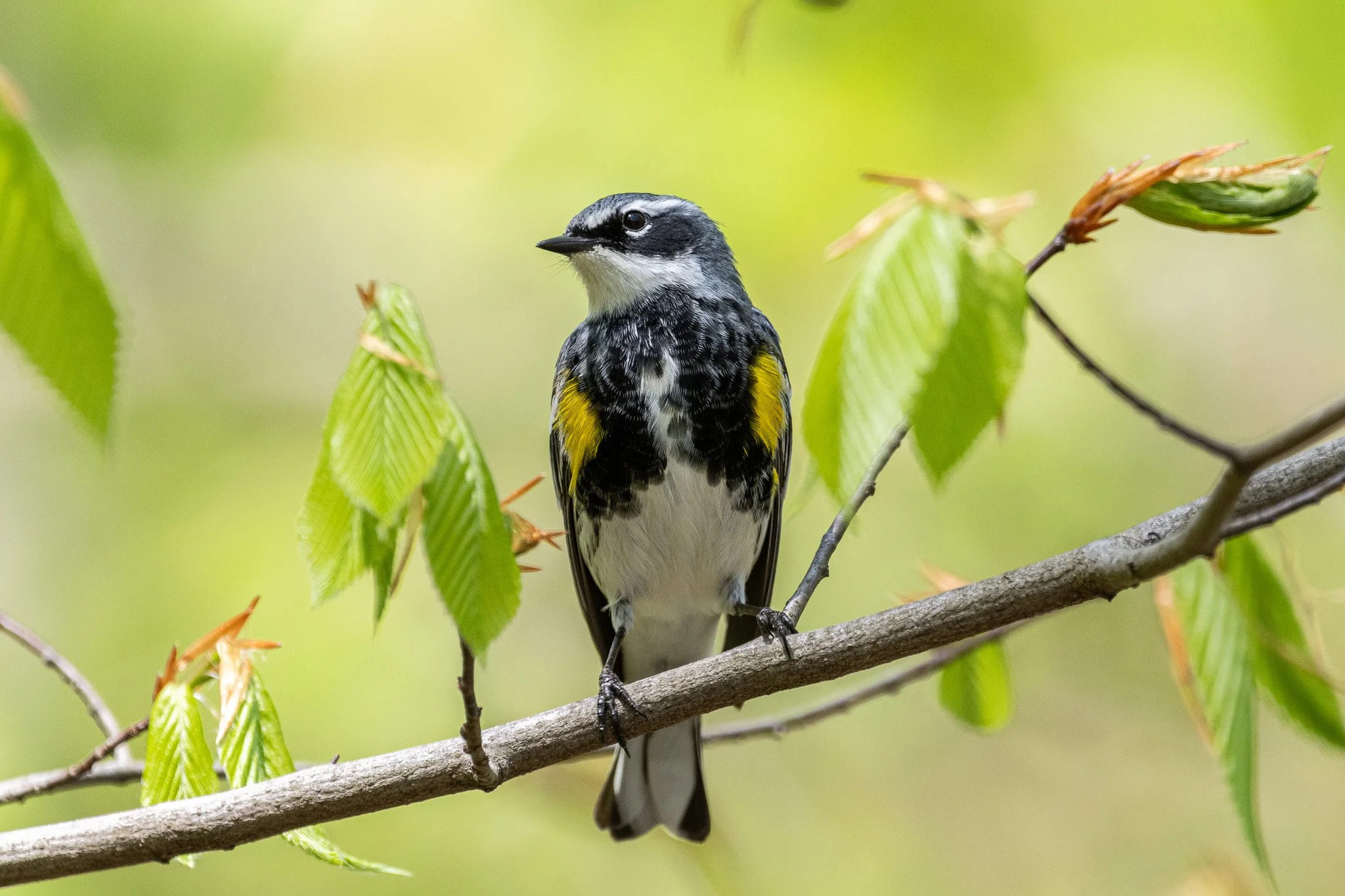 The Software That Shouldn't Exist