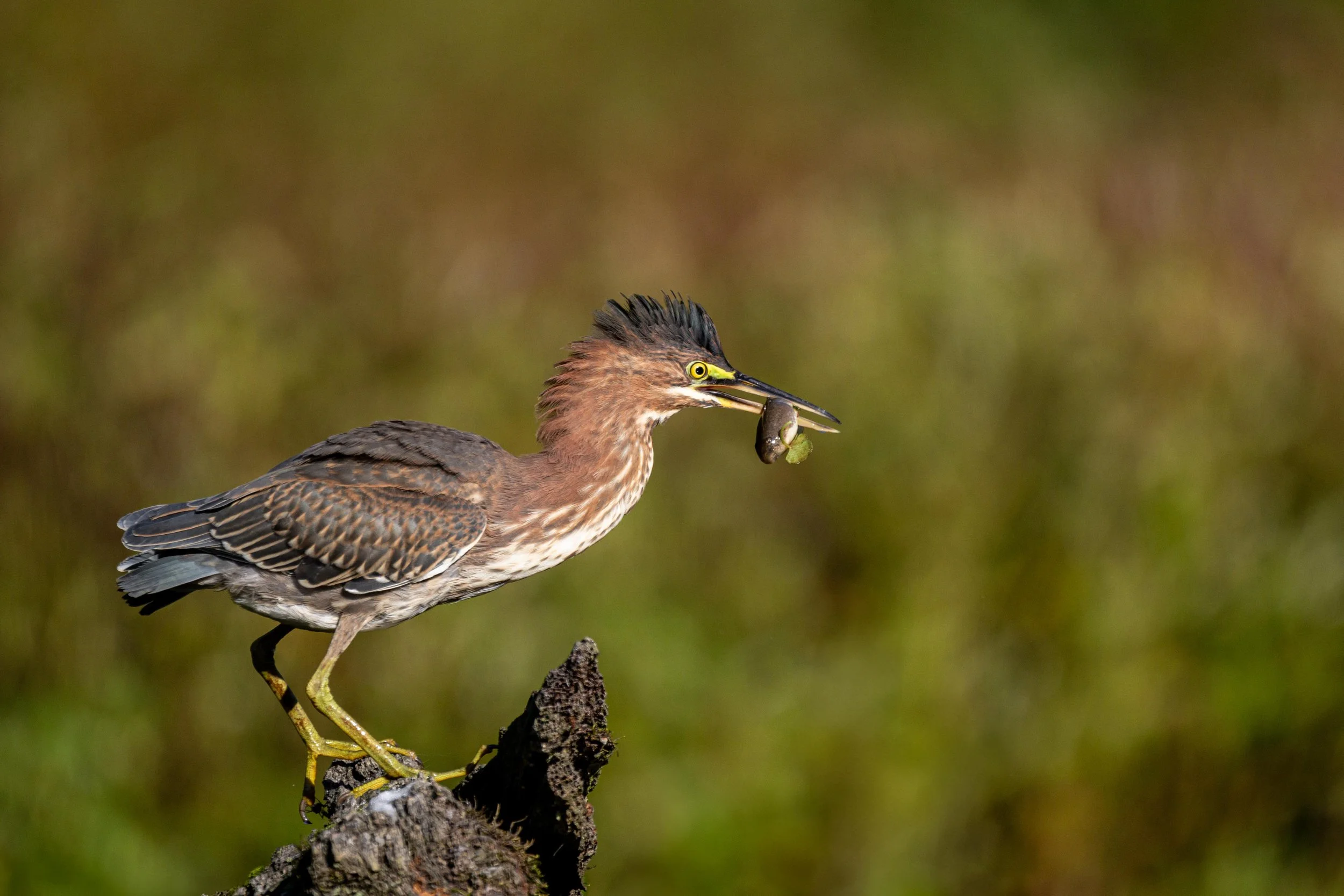 The Three Pillars of Scalable Data Processing