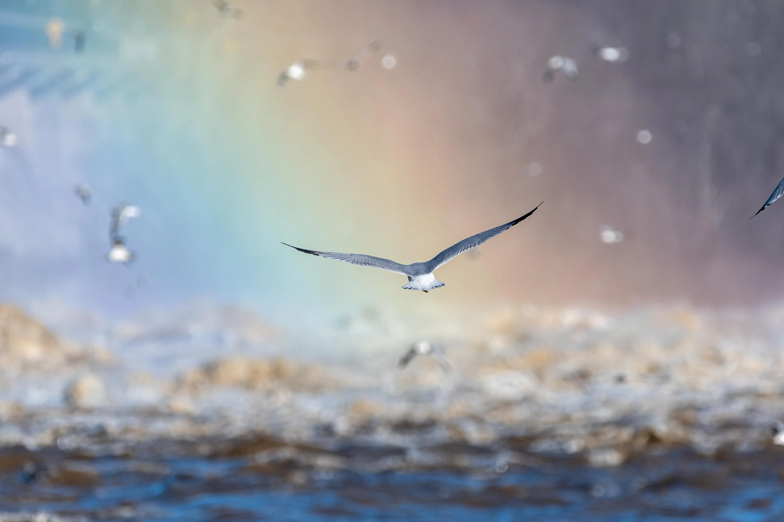 Claude Code as an Operational Partner for DevOps