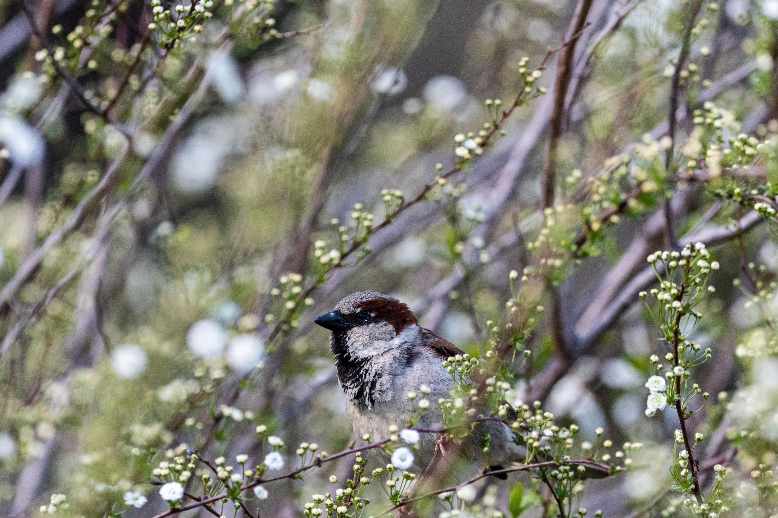 From Two Minutes to Ten Seconds - The ROI of Personalized Software