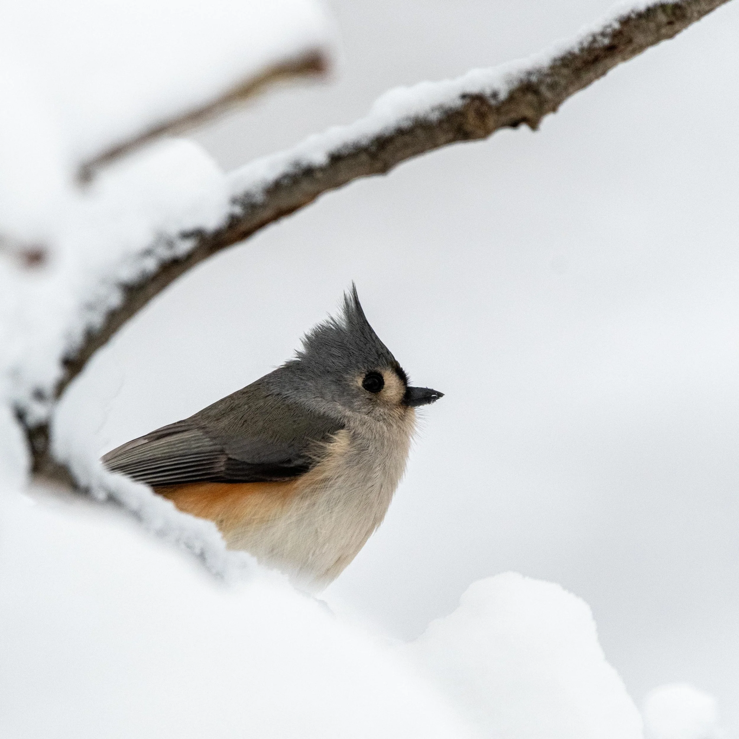 Tests as Ceremony: When AI Breaks the Safety Net