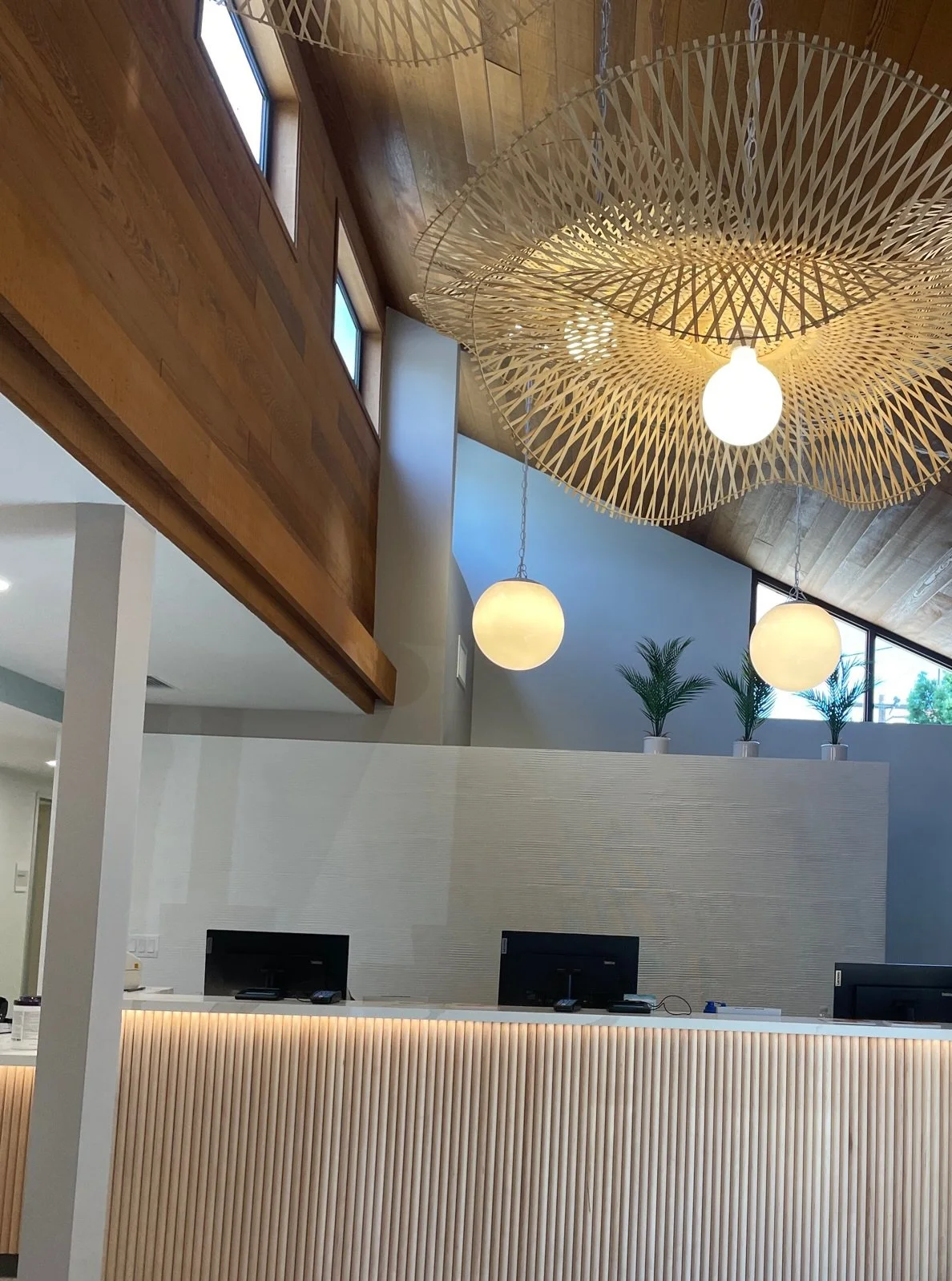 Modern hotel reception area with a wooden ceiling, large decorative light fixture, and three potted plants on a ledge near windows.