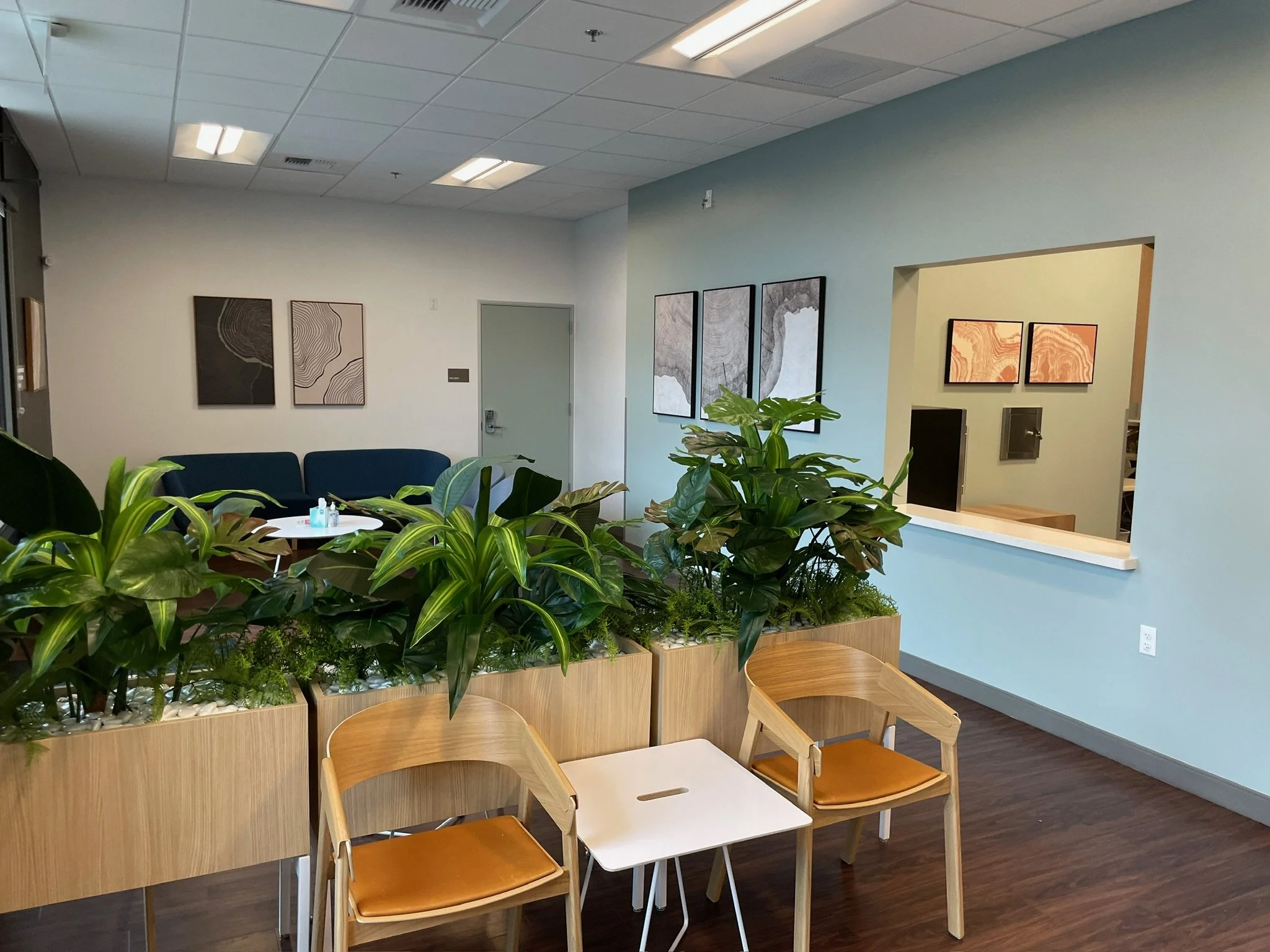 Indoor seating area with wooden chairs, a white table, and lush green plants in wooden planters. The walls are painted in soft colors and decorated with framed minimalist art. Overhead lighting and ceiling vents are visible.