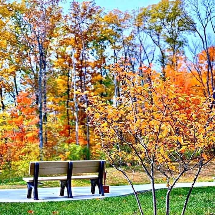 &ldquo;How beautiful the leaves grow old. How full of light and color are their last days.&rdquo;
🍂🍃🍂🍃
A beautiful picture from fall at Life&rsquo;s Journey walking path and bench.
Fall is coming, and we want to reflect on the seasons of our life