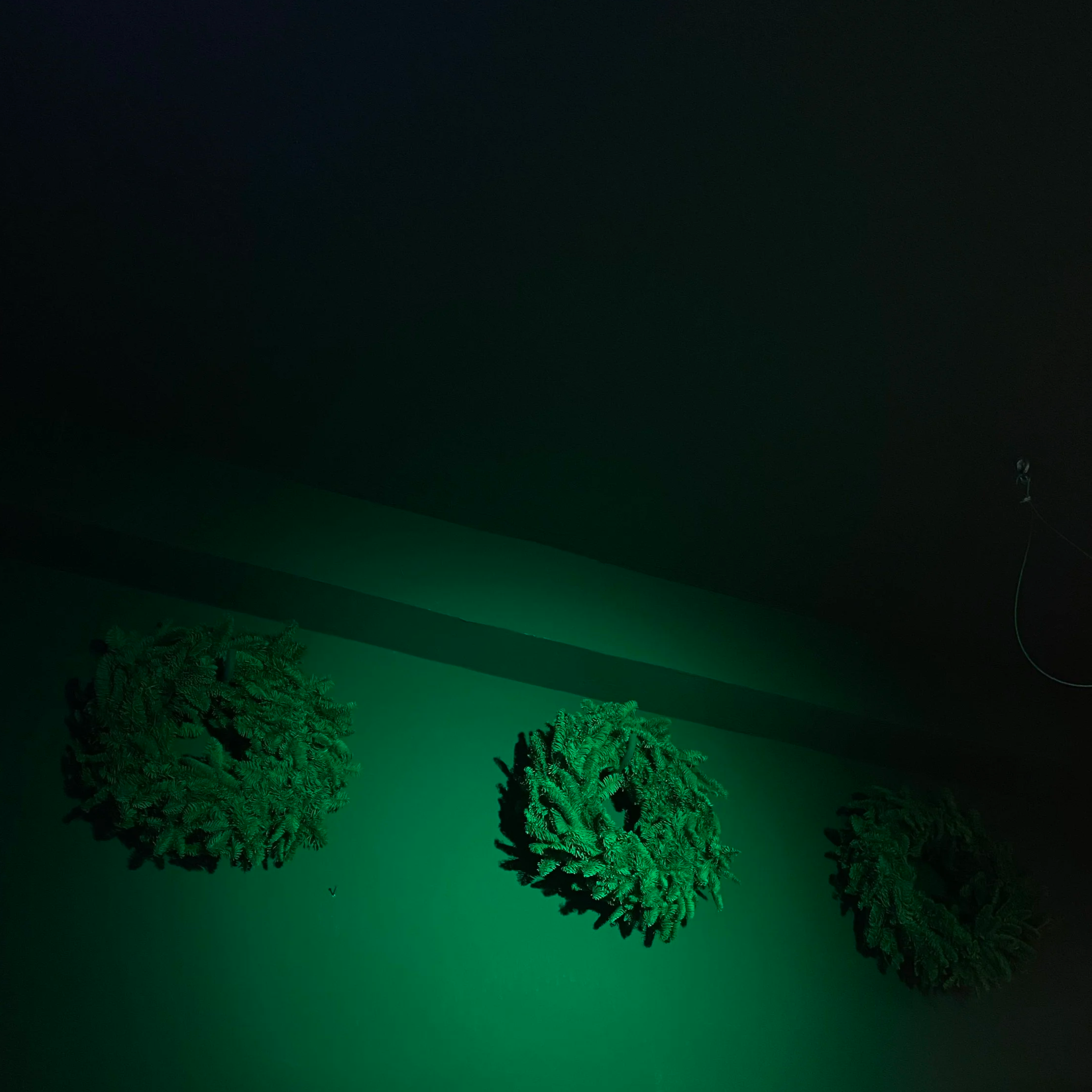IMG_7906.png