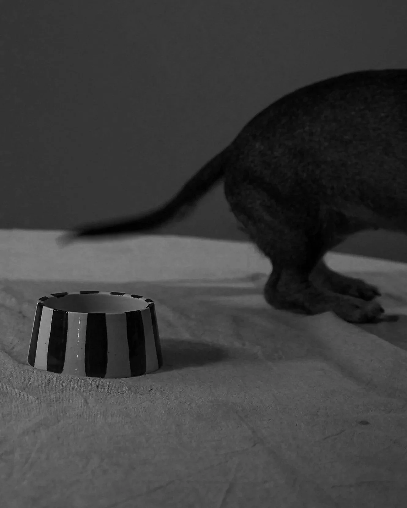 PAWS