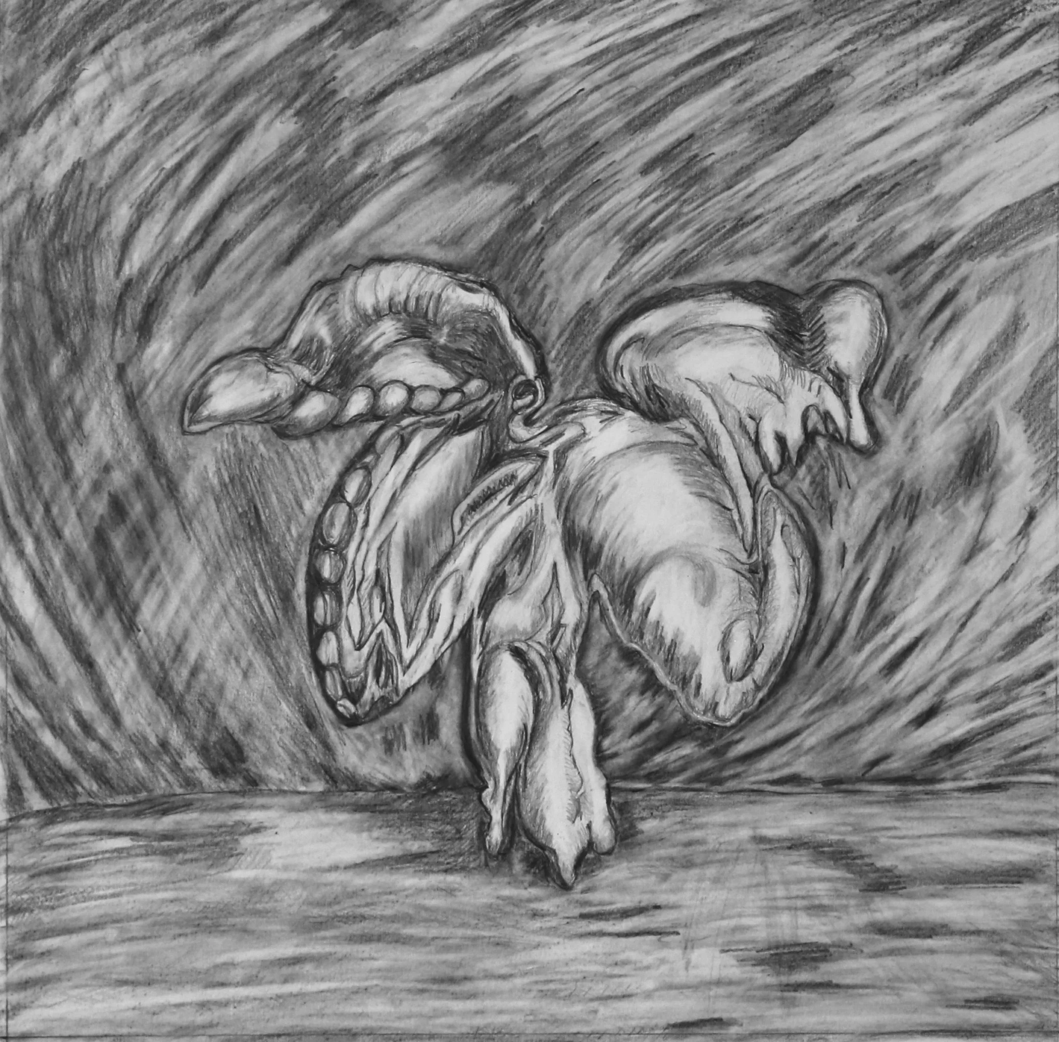 Tree Dance, 40 x 40 cm , pencil on paper