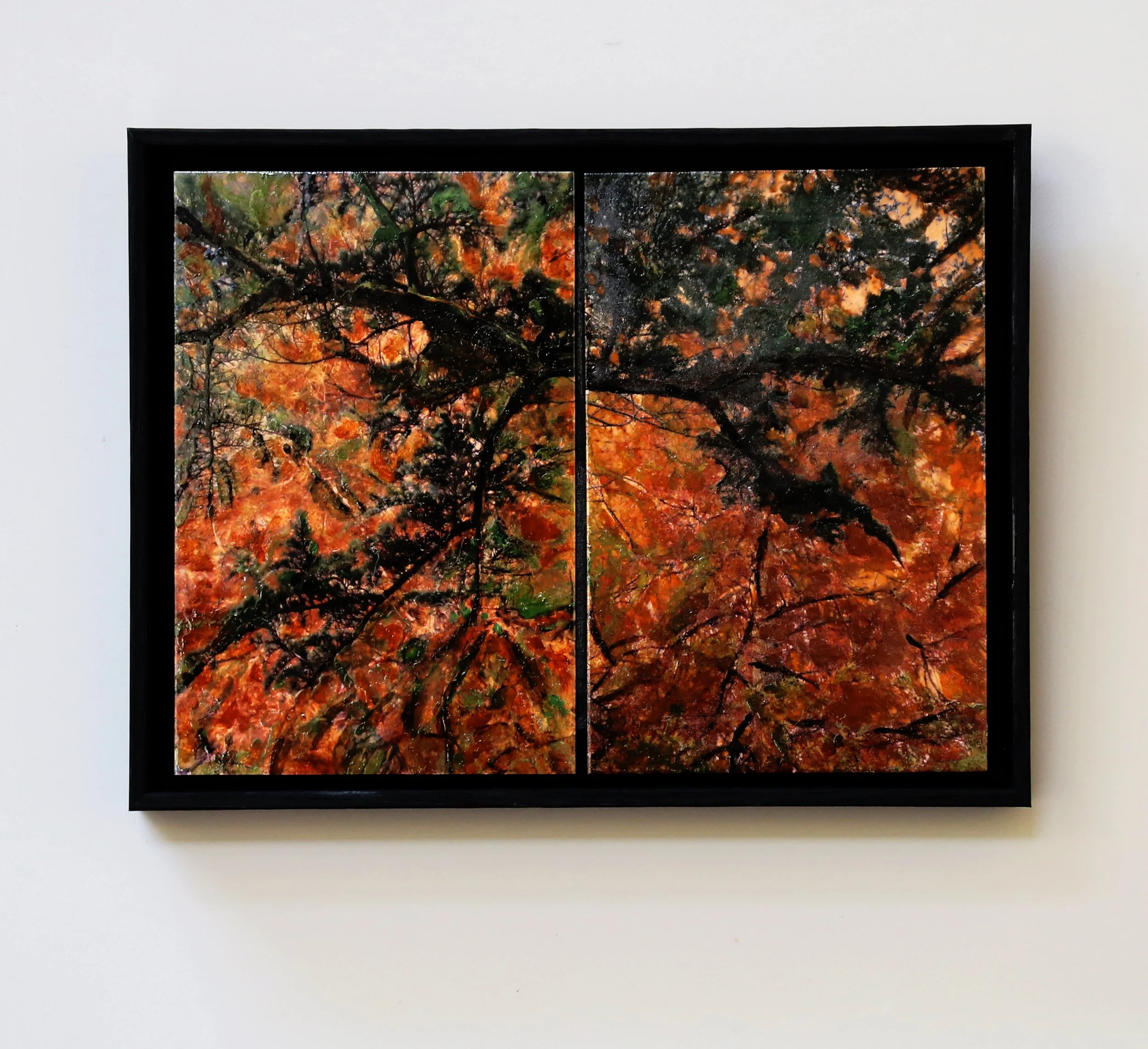 Overstory 1 