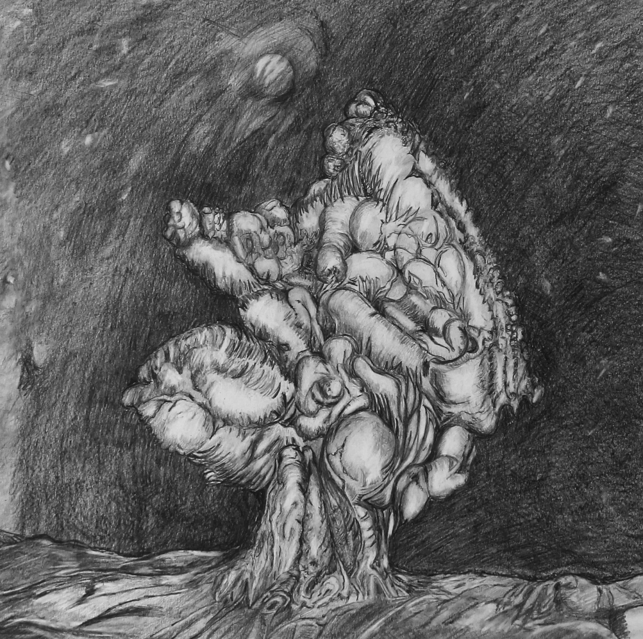 Tree Dance , 40 x 40 cm , pencil on paper