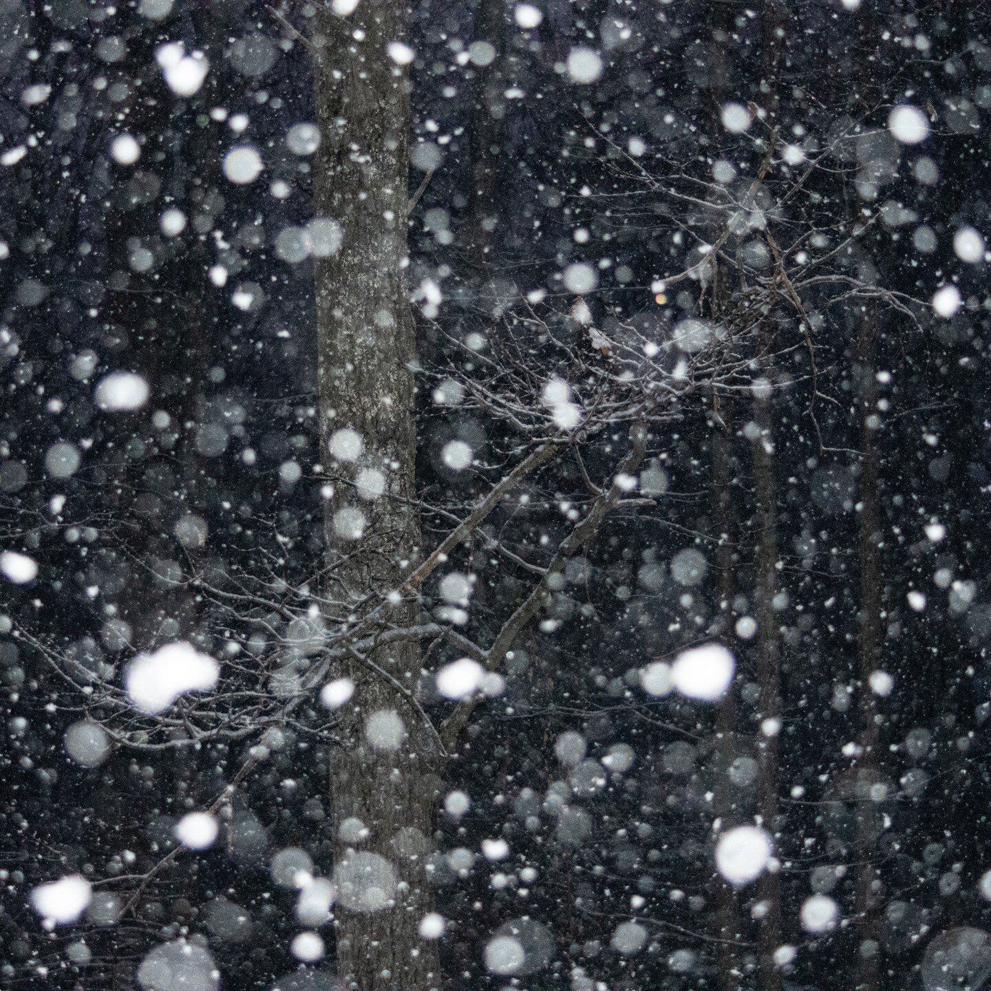 Falling midnight snow is falling in and out, and falling through, and falling back, and falling for me. It&rsquo;s not so cold.