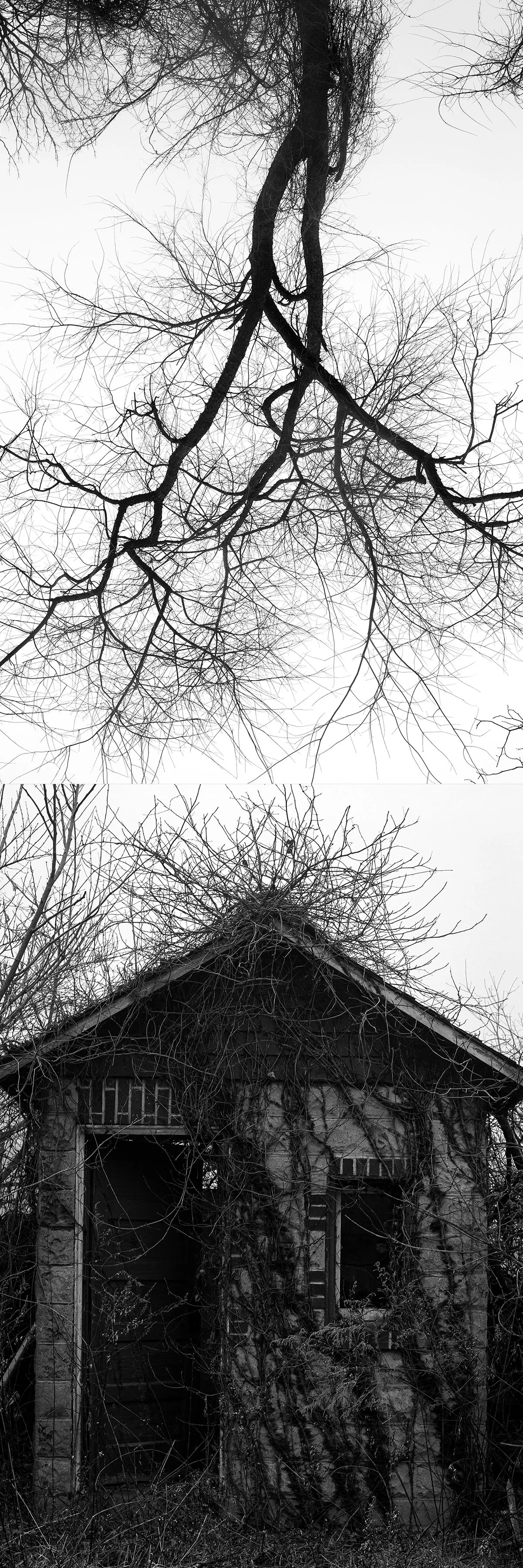 Cullen_IrbyOnly a Memory_1.jpg