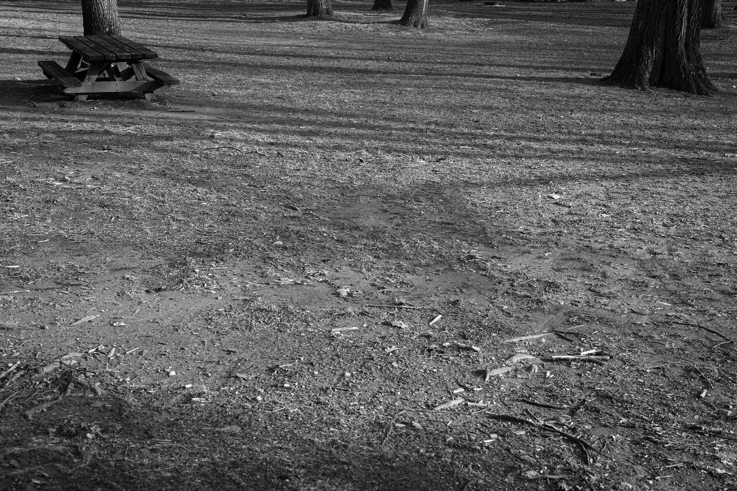 Cullen_IrbyOnly a Memory_Indv4.jpg