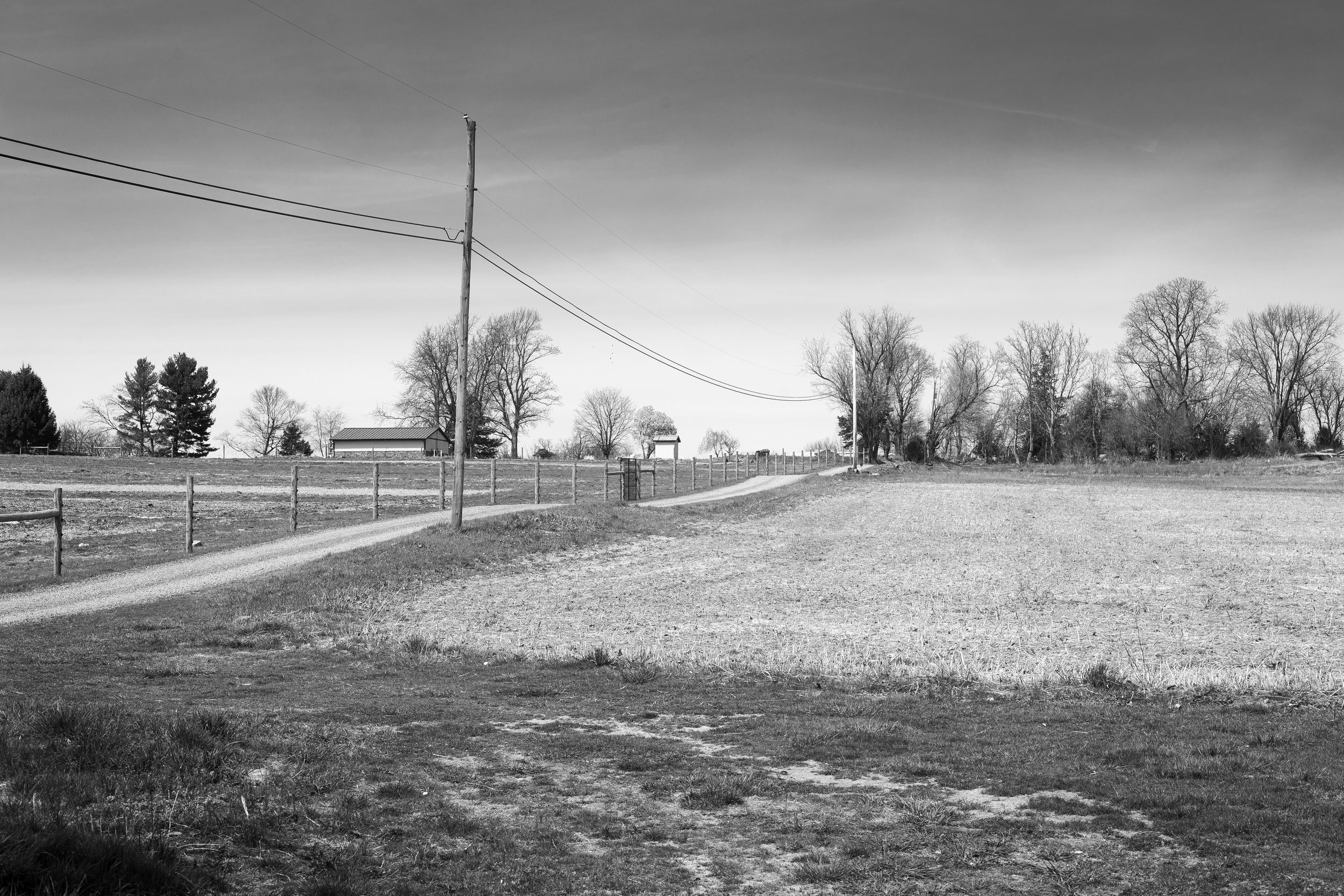 Cullen_IrbyOnly a Memory_Indv5.jpg